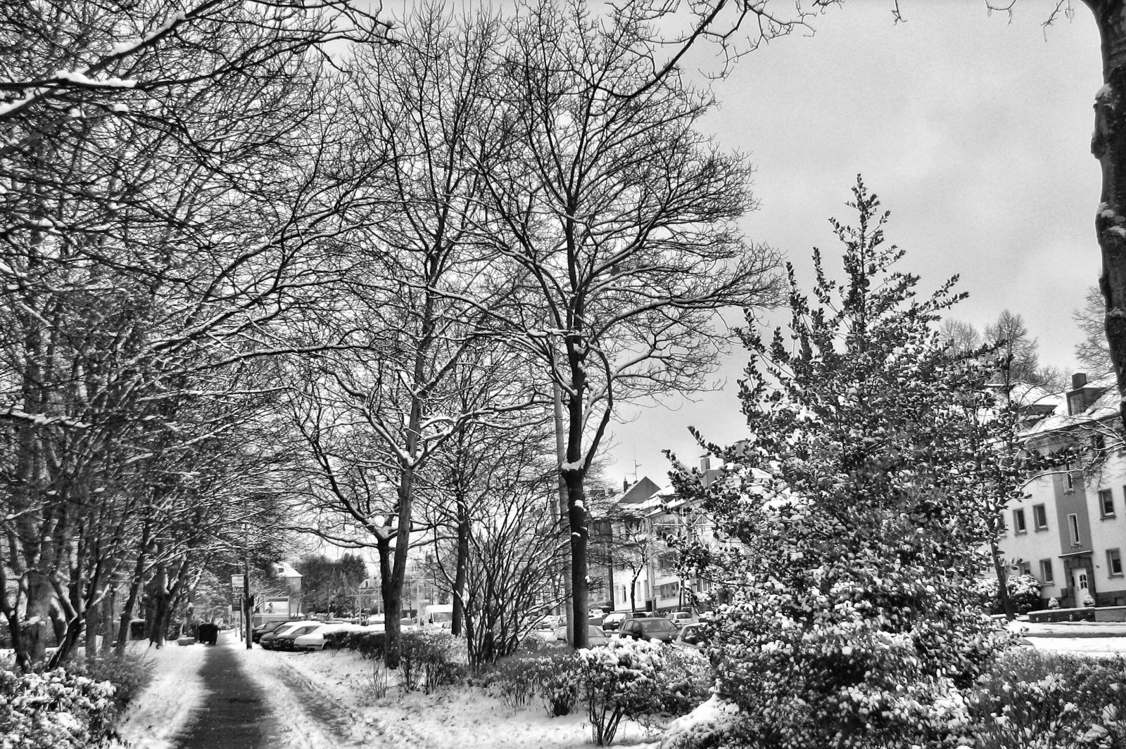 schnee130114b-35.jpg