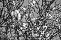 schnee130121-002.jpg