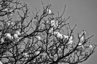 schnee130121-003.jpg