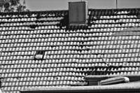 schnee130121-004.jpg