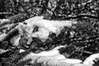 schnee130121-005.jpg