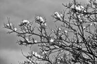 schnee130121-006.jpg