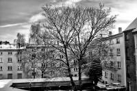 schnee130121-007.jpg