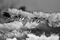 schnee130121-008.jpg