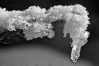 schnee130121-010.jpg