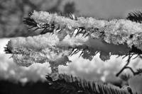 schnee130121-011.jpg