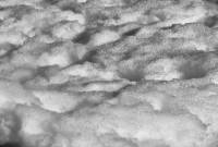 schnee130121-012.jpg