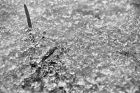 schnee130121-014.jpg
