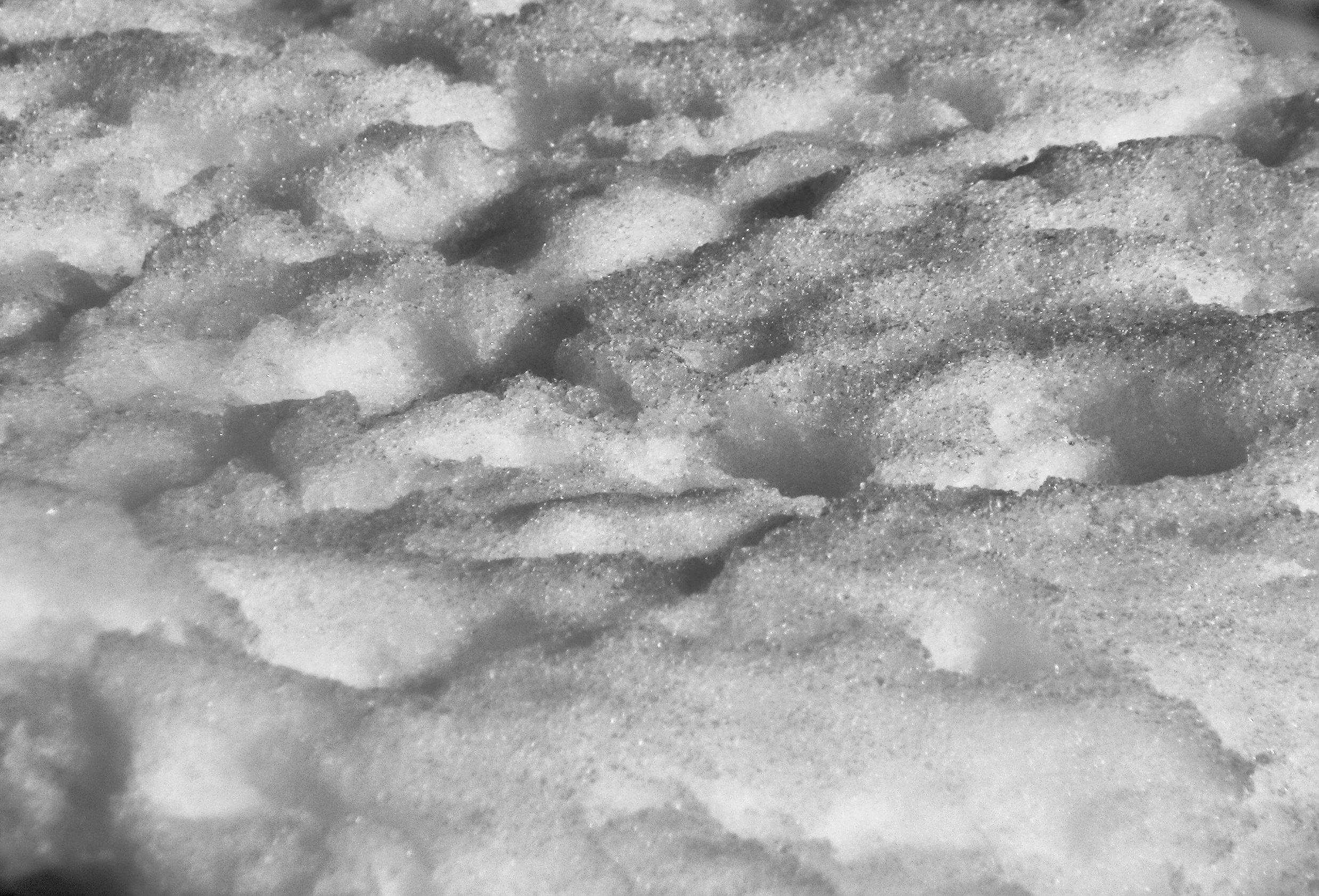 schnee130121-012.jpg