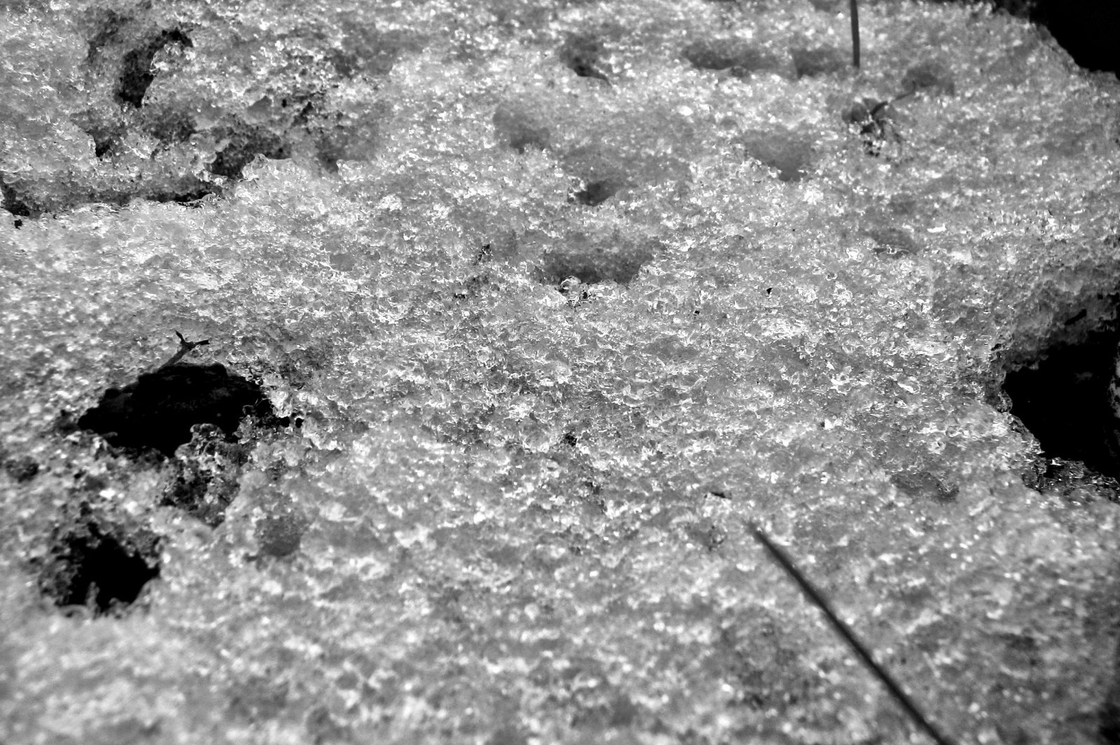 schnee130121-013.jpg