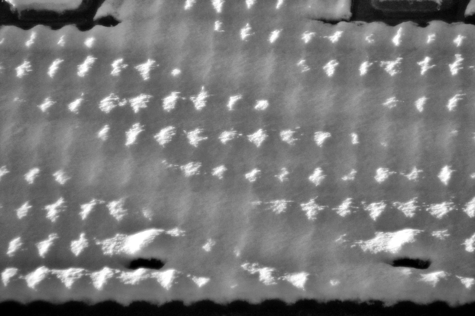 schnee130121-016.jpg