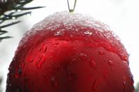 snow141227-02.jpg