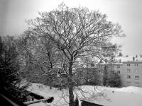 snow141229-03.jpg