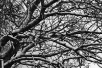 snow141229-04.jpg
