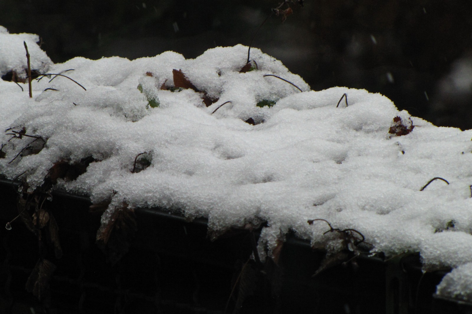snow141227-04.jpg