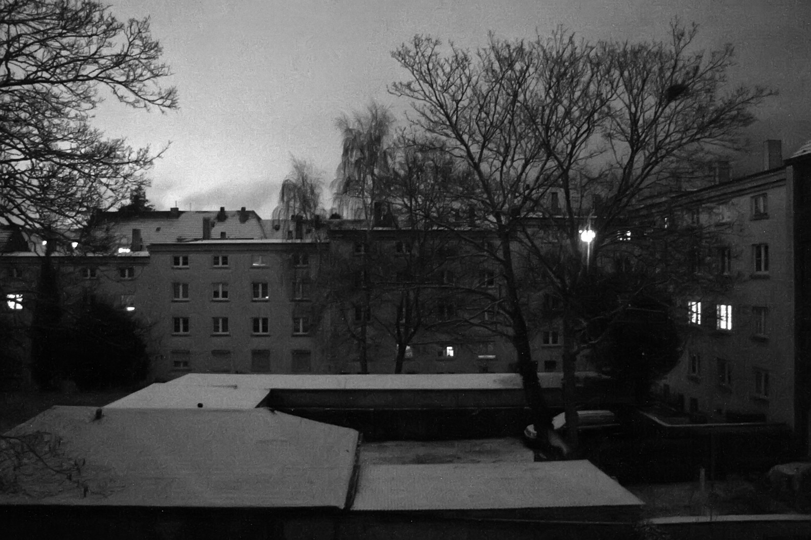 160116snow03.jpg