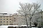 schnee120-040228.jpg