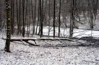 schnee204-050127.jpg