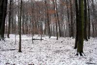 schnee205-050127.jpg