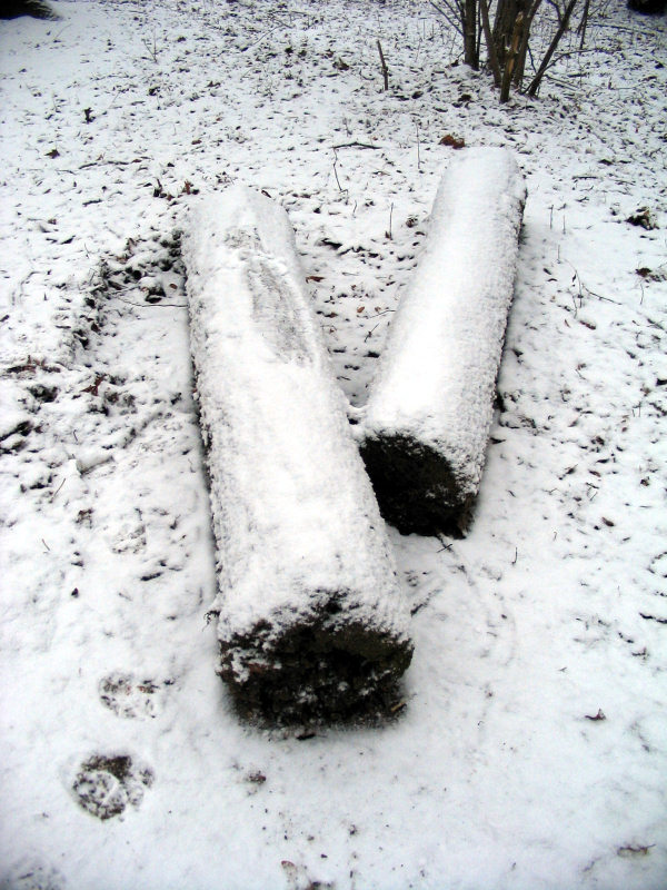 schnee194-050127.jpg