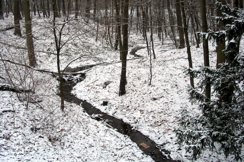 schnee198-050127.jpg