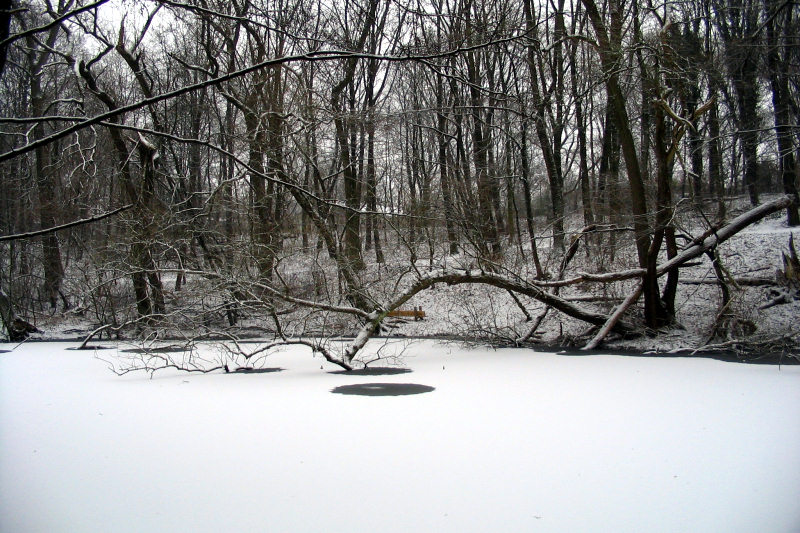 schnee210-050127.jpg