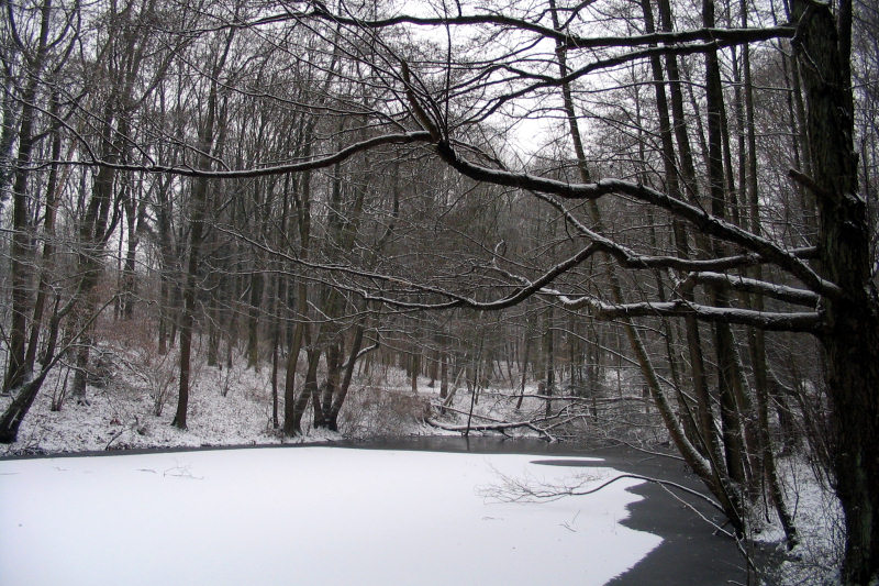 schnee220-050127.jpg