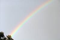 rainbow08-040830