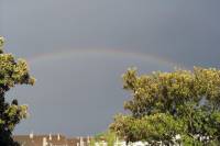 rainbow10-040830