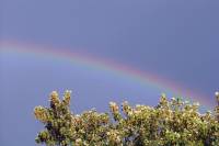 rainbow11-040830