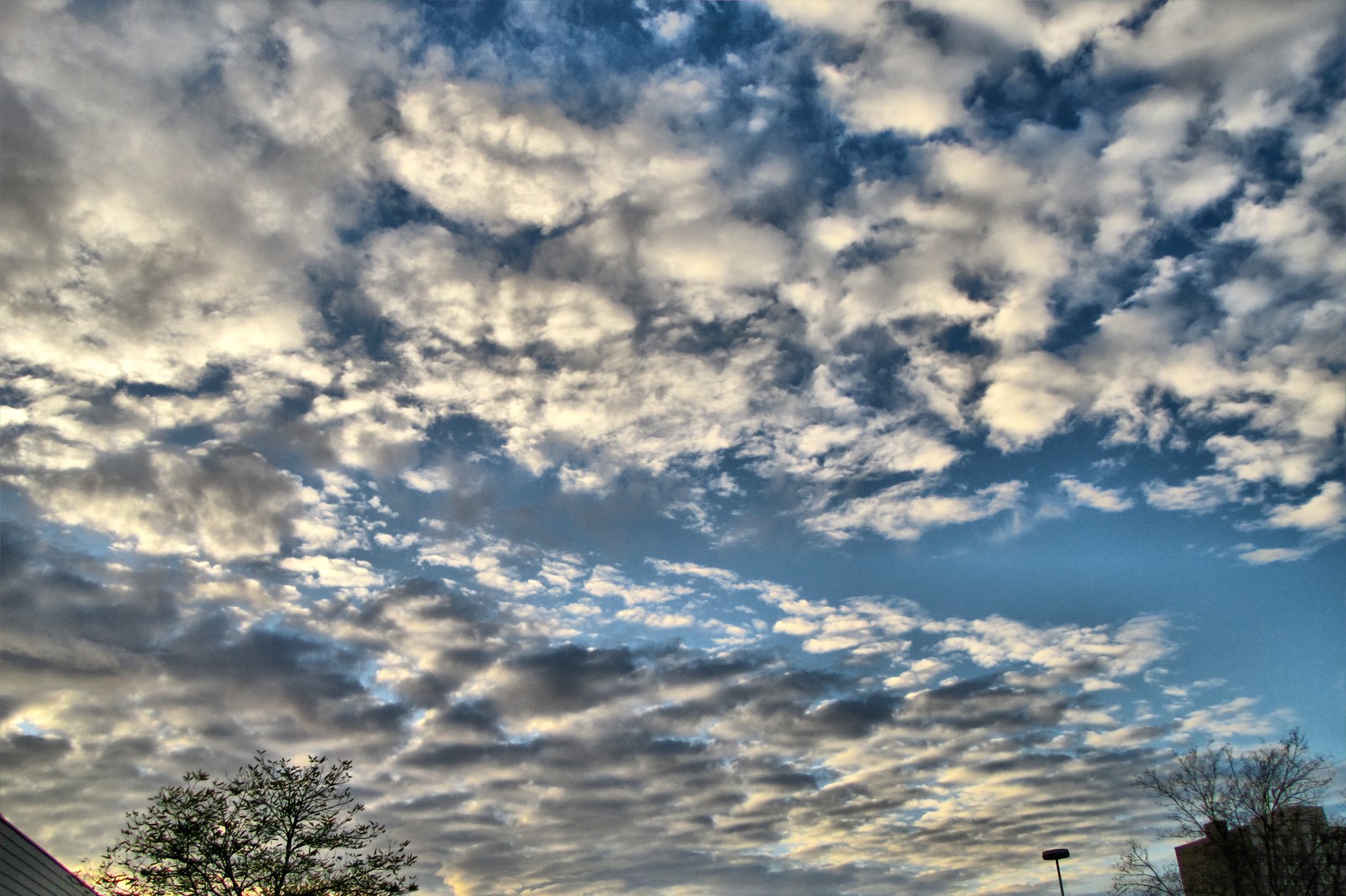 cloudscapes141128-03.jpg