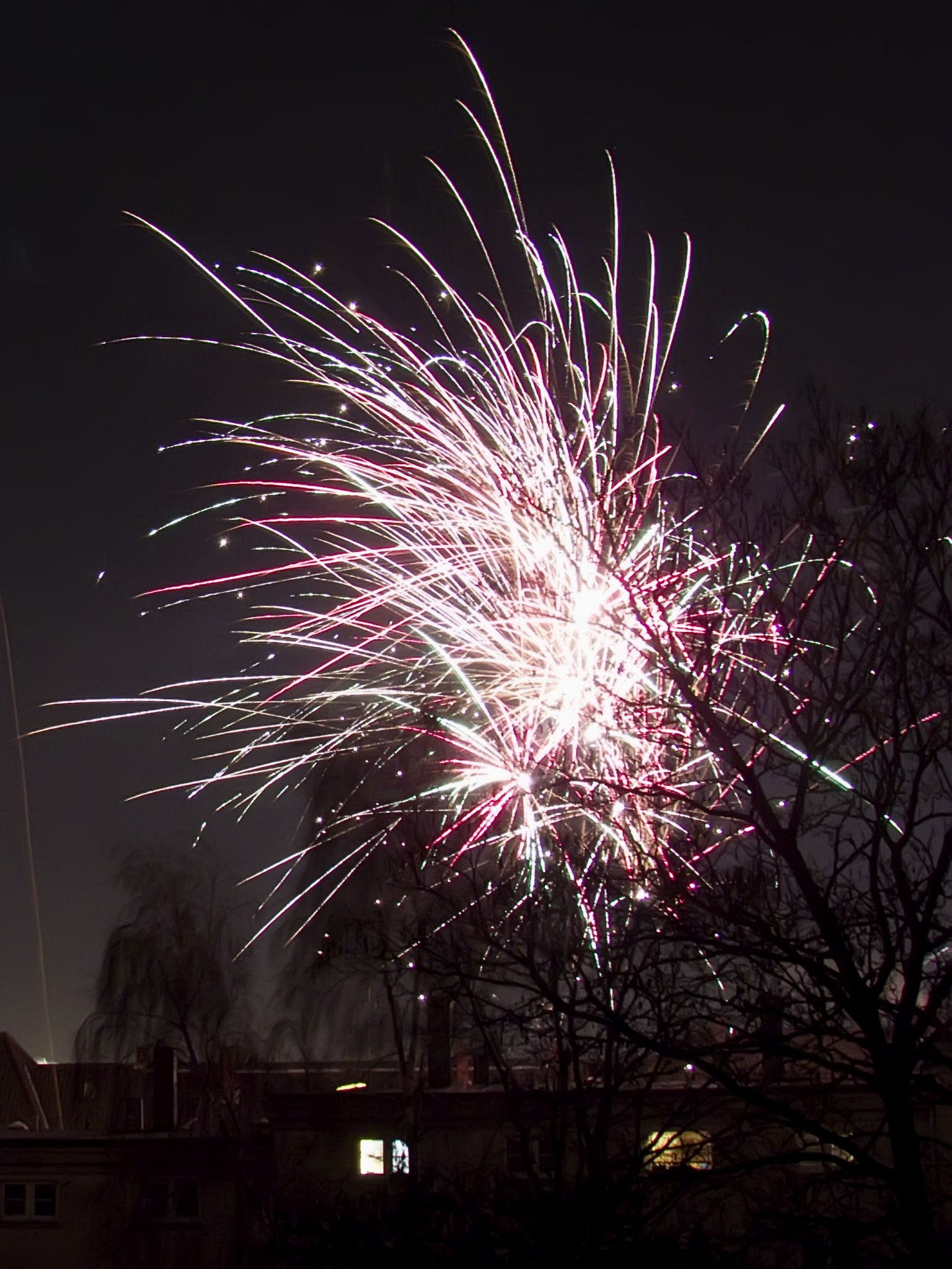 170101fireworks02.jpg