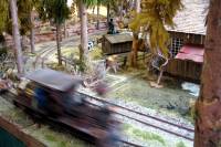 train060924-18.jpg